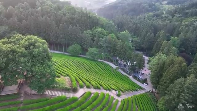  정보보안산업기사 응시조건 인강만 듣고 반 년만에 성공한 과정