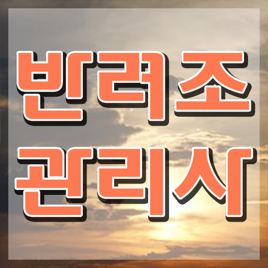  사랑앵무 윙컷 , 반려조관리사 자격증 취득한 노하우 정리해드립니다