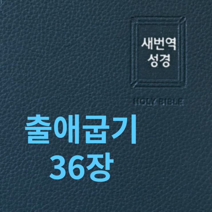 출애굽기 36장 출애굽기 36장
