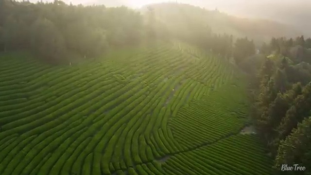  해외여행 비용 아낄 수 있는 팁 , 여행 전문가 가 정리해 봤어요 (무료 서비스)