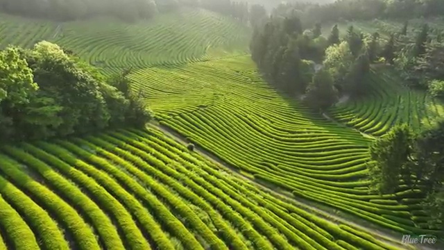  전주 사회복지사2급 고졸자도 인강 듣고 쉽고 빠르게