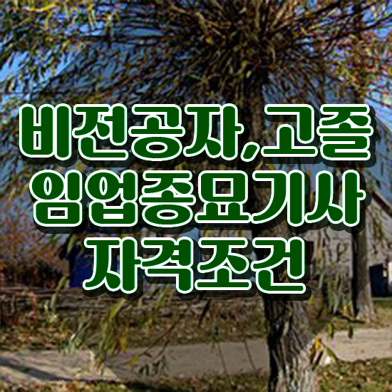  임업종묘기사 시험응시자격 학점은행제로 15주만에 준비한 과정
