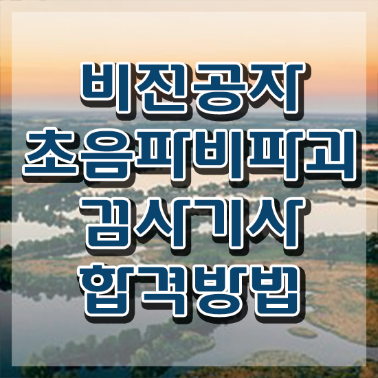  초음파비파괴검사기사 채용 초음파비파괴검사기사 응시조건 인강만 듣고 4달만에 성공한 팁