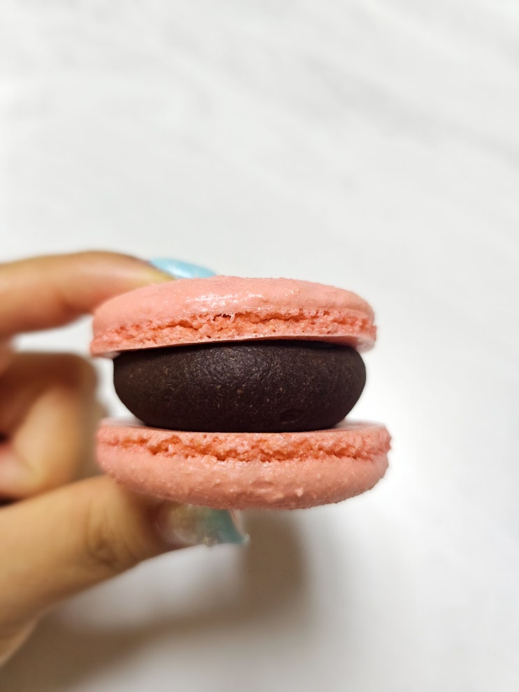  파주 가람마을 맛집 선물하기 좋은 디저트 너에게마카롱