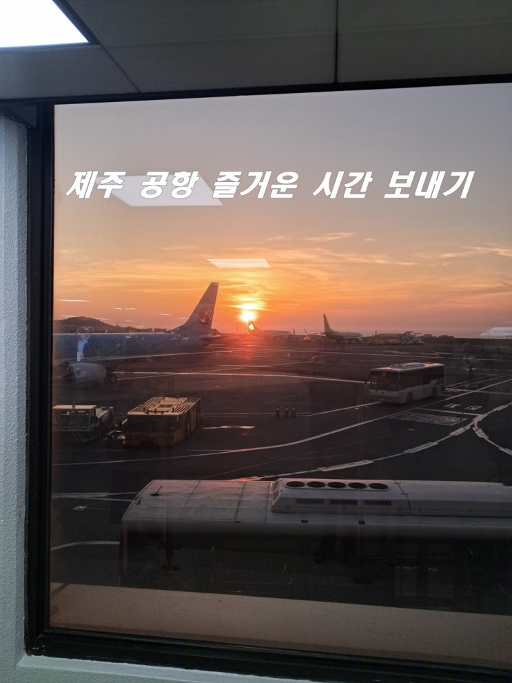 제주 공항에서 시간 보내기 식당 카페 공항 수하물 보관 방법