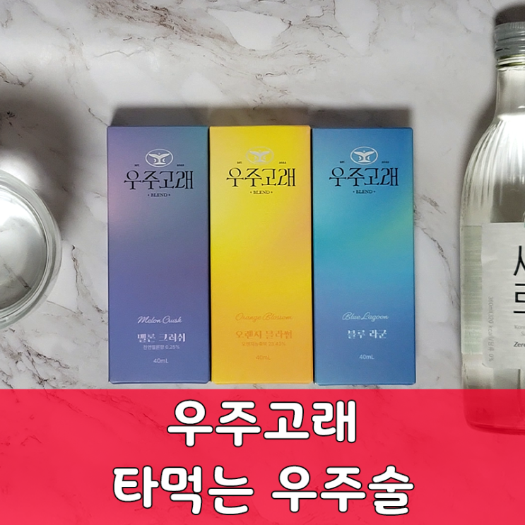  타먹는우주술 우주고래로 술자리를 더 맛있고 예쁘게 만들어보세요. 인싸템 추천!