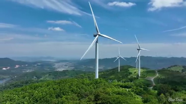  9세 엘리하이로 충분해요