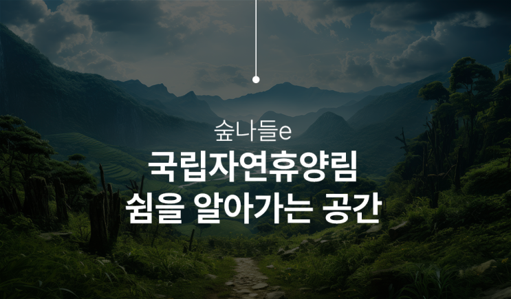  국립자연휴양림 숲나들이 예약 및 우선 예약 성공 방법 안내
