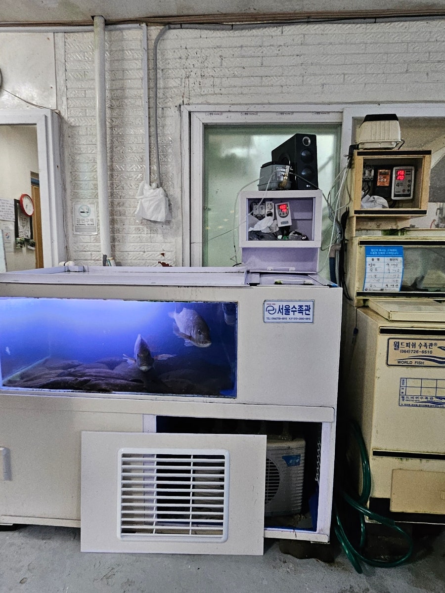 솜반내횟집 사진 2