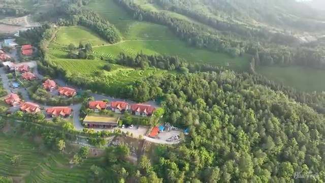  정보처리산업기사시험일정 정보처리산업기사 자격요건 집에서 온라인으로 15주만에 성공한 노하우