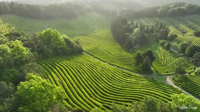  인테리어 생각중이라면 ? 전문가 가 비교 견적 알려드려요. (무료 서비스)