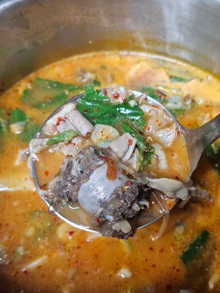  담소 소사골 순대 육개장 화정역점 순대국 비조리 포장 넉넉한 양과 맛 좋아!