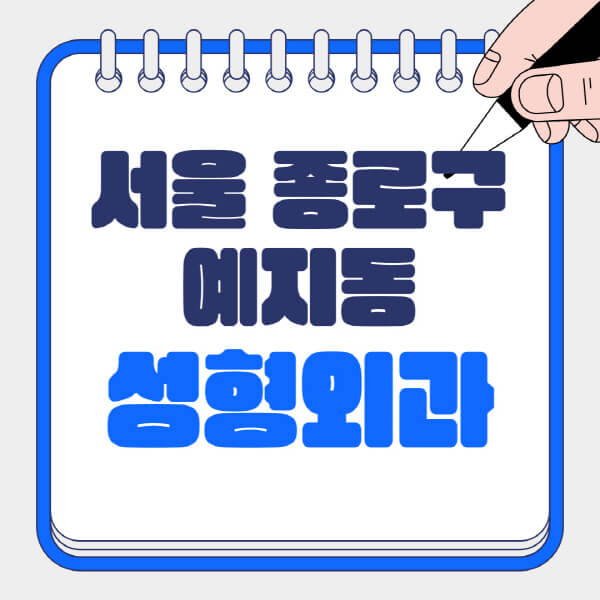 서울 종로구 예지동 성형외과 정보 총정리 | 흉터, 지방이식, 눈, 코, 얼굴 다양한 정보 제공