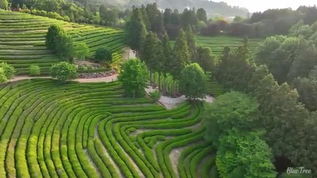  학점은행제 전문학사 학점은행제 학위 온라인 원격 평생교육원에서 경력없는 사람도 빠르게 준비했던 팁