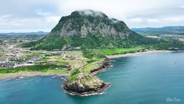  도로교통 감정사 , 자격증 활용방법