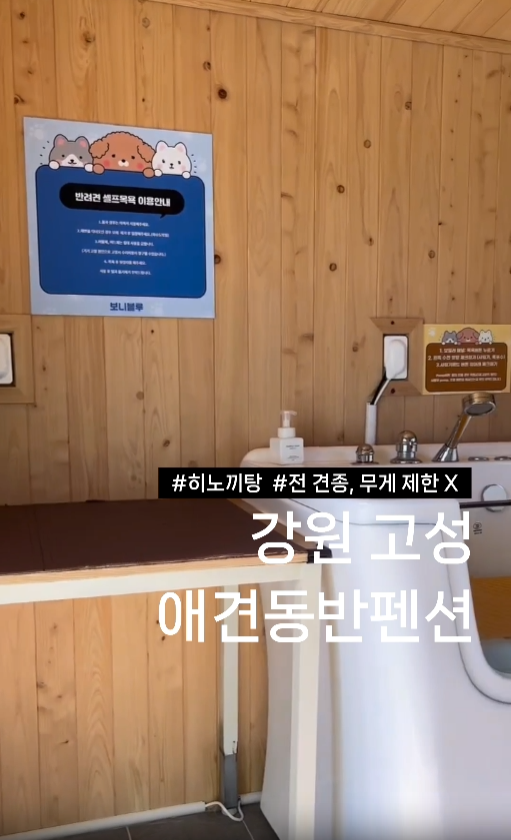 사진 15