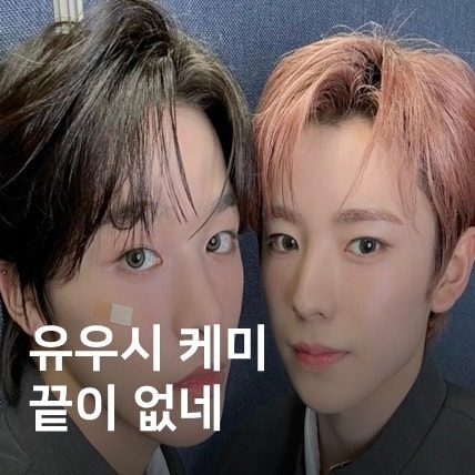 엔시티위시 NCT WISH 유우시와 최고 케미는? 리쿠와 쿠우쿠우즈, 사쿠야와 치즈볼즈, 시온과 유....