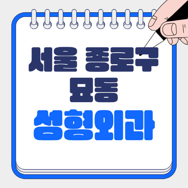  “서울 종로구 묘동 성형외과 전문의 솔직 후기와 정보”