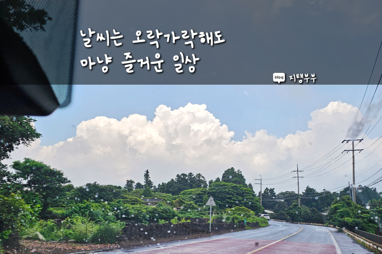  제주도에서의 일상 도두해안도로 산책 영화 관람 주말 동쪽 여행과 육지 여행 계획