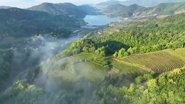  수산물 품질관리사 자격증 , 합격 전략