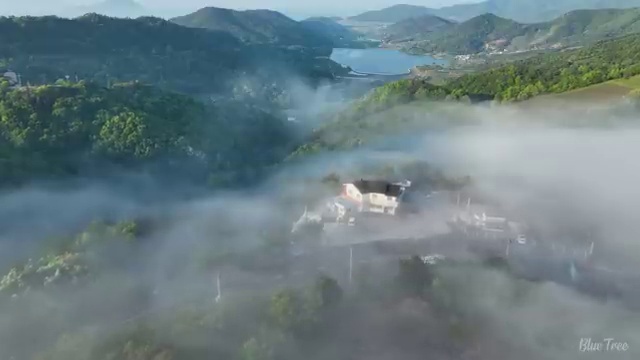  수산물품질관리사 자격증 , 합격 비법