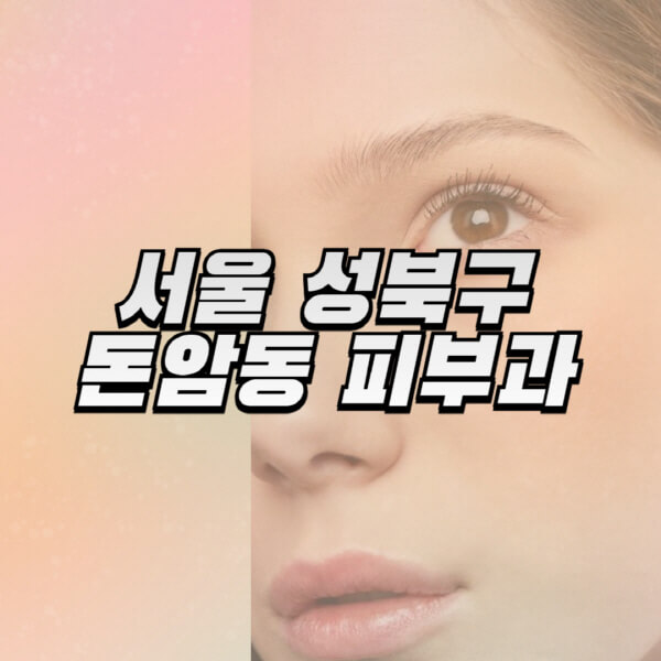  서울 성북구 돈암동 피부과, 리프팅, 보톡스, 필러 정보 및 유명 병원 추천