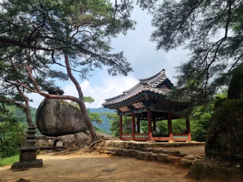 사진 7