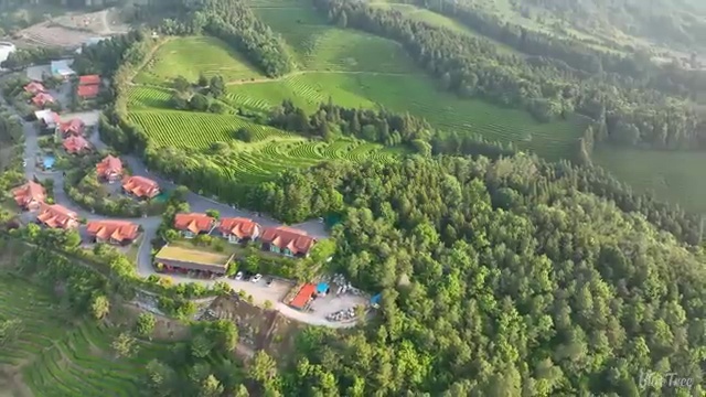  도로교통감정사 , 자격증 합격 후기