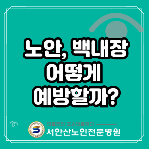  [안산요양병원건강정보] 노안,백내장 어떻게 예방할 수 있을까?
