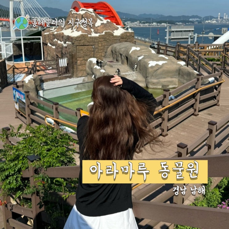  사천여행 아라마루 동물원 아쿠아리움 정보 (주차, 동물원만 이용하는법)