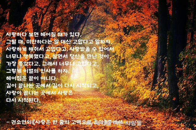 .......사랑 .......사랑