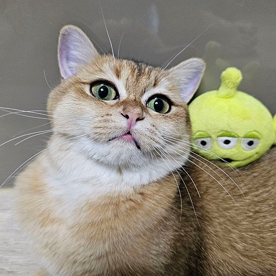 운정산내동물병원 사진 4