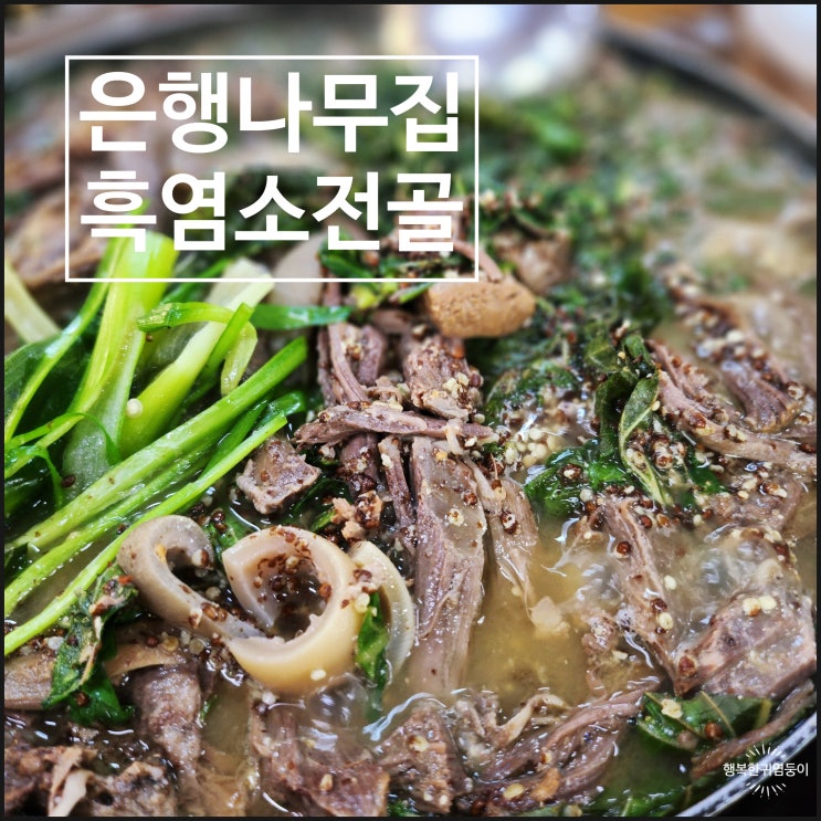  화성 정남맛집 흑염소전골 몸보신하러 은행나무집 다녀온 찐후기