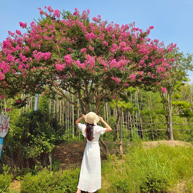  부안 가볼만한곳 변산반도 여행 변산해수욕장 줄포생태공원 청자박물관