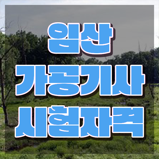  임산가공기사 시험응시조건 인강으로 단기간에 끝낸 방법
