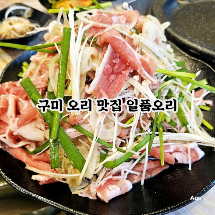  구미 오리 맛집 일품오리 feat 송정동 오리불고기 맛집