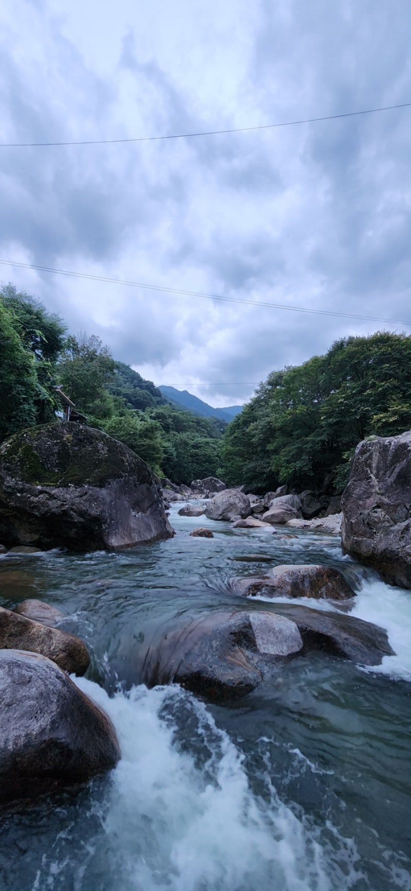 추성산장 식당