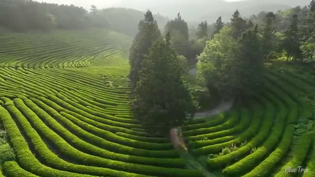  국내 가족여행 추천 , 현지 전문가 가 정리해 봤어요 (무료 서비스)