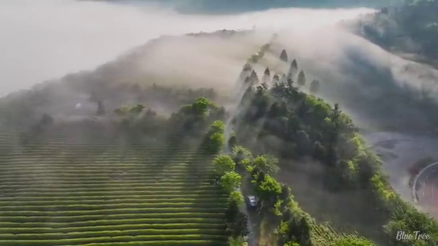  부산 바리스타 자격증 , 바리스타 자격증 간단하게 시험준비 , 온라인 무료강의