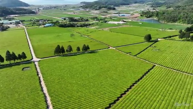  의공산업기사 응시조건 학점은행제로 5개월 만에 준비한 후기