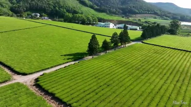  상가인테리어 빠르게 견적받는 노하우 , 라티크 가 정리해드려요 (무료 서비스)