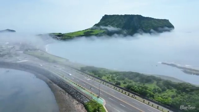  왁싱샵 취업 , 왁싱샵창업 준비 처음이라면 합격해야 하는 면허증은?