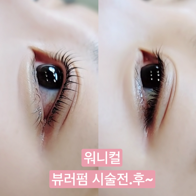  신당역 속눈썹 워니컬 손상없는 속눈썹펌  후기