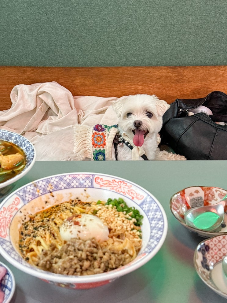  프프프 ver.2 | 전주 전북대 아시안 애견동반 식당 후기, 주차