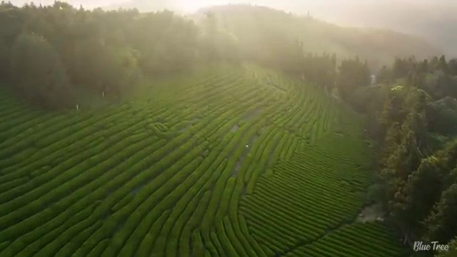  상가인테리어 계획중이라면 ? 전문디자이너 에게 맡겨주세요. (무료 서비스)
