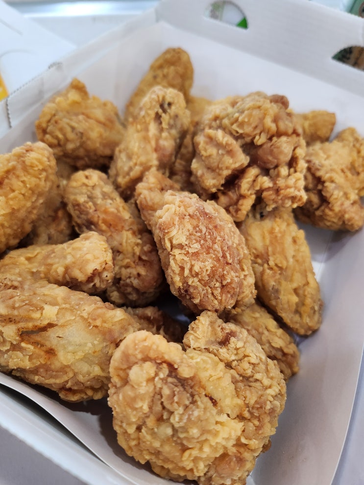  하이원 워터월드에서 먹은 츄러스와 치즈 핫도그 그리고 BBQ 치킨 내 돈 내산 리뷰