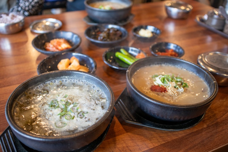  제주 한림 맛집 로컬 추천 채훈이네해장국