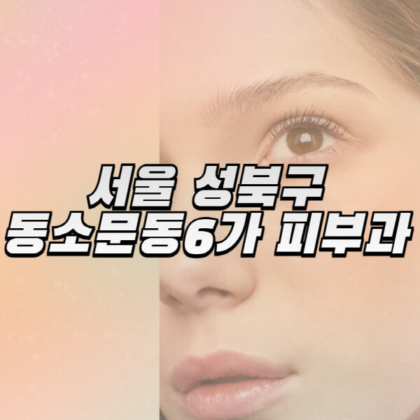  성북구 동소문동6가 피부과 전문의 추천과 일요일 진료정보
