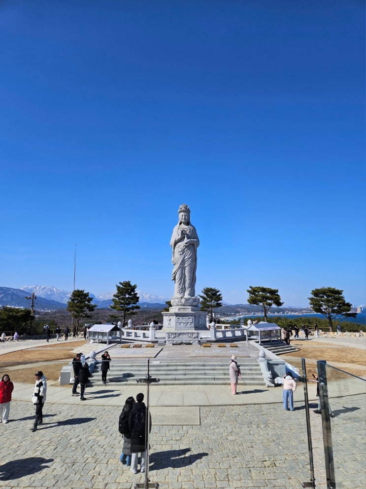  [강원도/양양, 속초] 당일치기 코스 추천 | 양양전통시장, 낙산사, 대포항시장