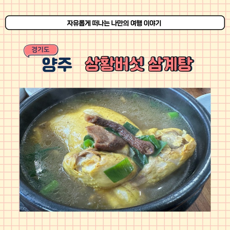  양주 안성상황버섯삼계탕 복날에 먹기 좋은 메뉴